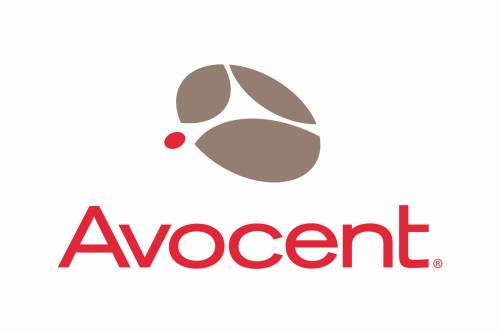 Vertiv Avocent 4YGLD-AV, 1 x licencja, 4 lat(a)
