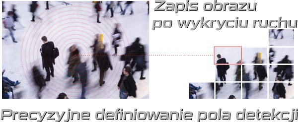 9_3745.jpg