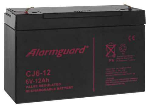 Akumulator 12Ah/6V CJ6-12 T1