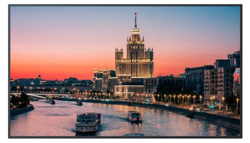 NSD-5503 - monitor 55"