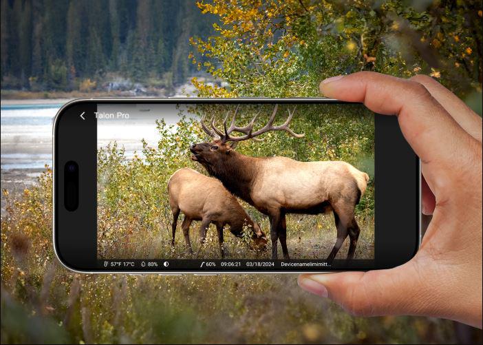 fotopuapka_reolink_camovue_8mp_lte_talon_series_s130_4ddb3d0340abc.jpg